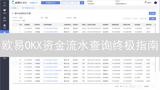 欧易OKX资金流水查询终极指南：掌握你的数字资产命脉！