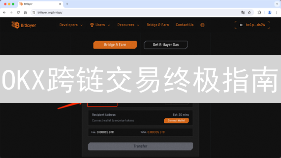 OKX跨链交易终极指南：避坑！新手必看，资产安全转移全攻略！