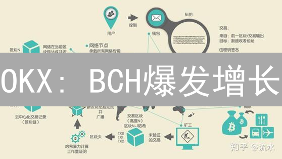 OKX: BCH爆发增长？新手如何掘金比特币现金？
