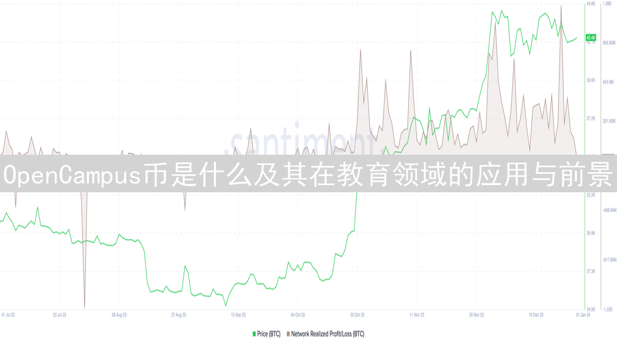 OpenCampus币是什么及其在教育领域的应用与前景