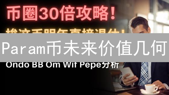 Param币未来价值几何？深度解析影响其长期发展的七大关键因素！