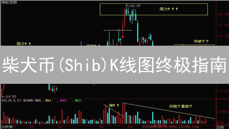 柴犬币(Shib)K线图终极指南：掌握技术指标，掘金潜在机会！