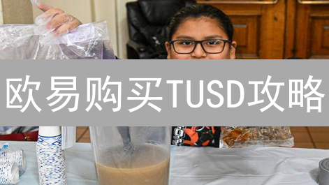 欧易购买TUSD攻略：新手也能轻松上手？小心这些坑！