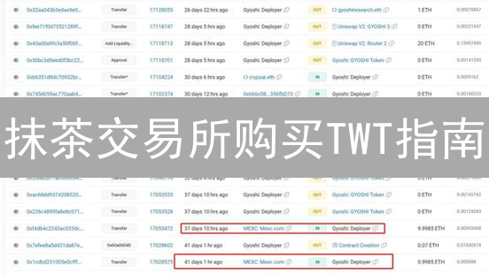 抹茶交易所购买TWT指南：轻松玩转TrustWalletToken