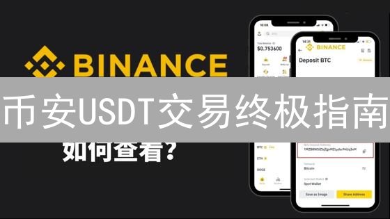 币安USDT交易终极指南：策略、风险与流动性深度剖析！