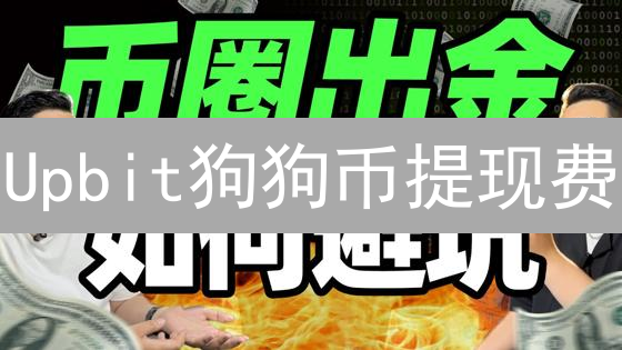 Upbit狗狗币提现费：网络拥堵与交易所策略分析