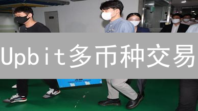 Upbit多币种交易：如何分散风险？新手必看策略！