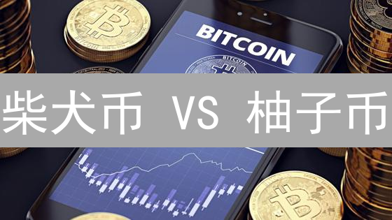 柴犬币 VS 柚子币：谁是加密世界的潜力股？深度对比分析！