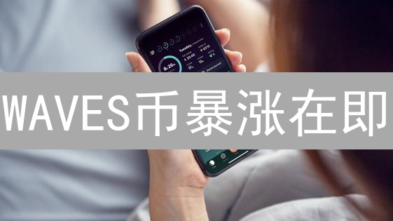 WAVES币暴涨在即？币安新手购买指南，抓住财富机会！