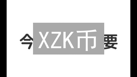 XZK币：潜力之光还是迷雾重重？深度分析
